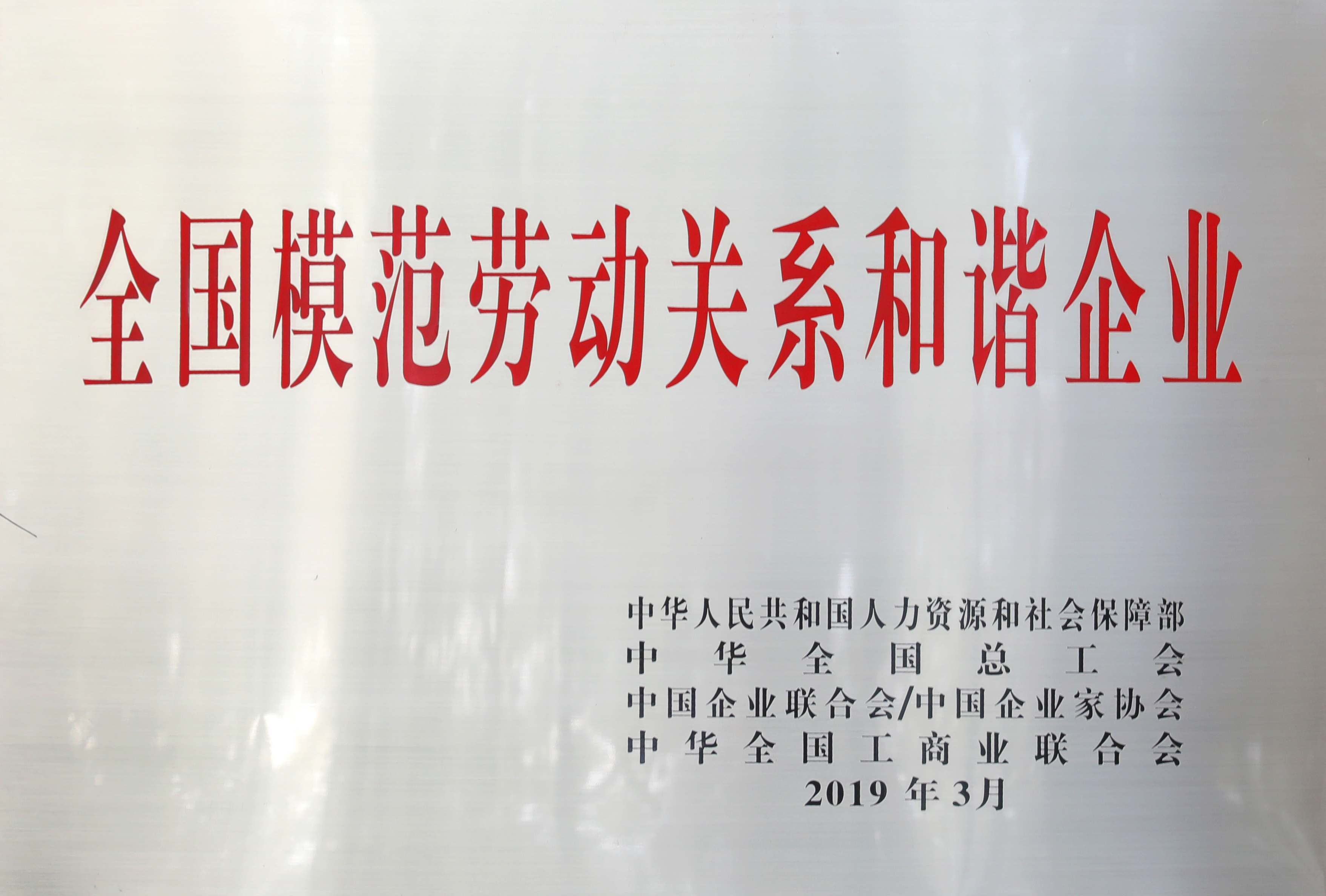 專題報道