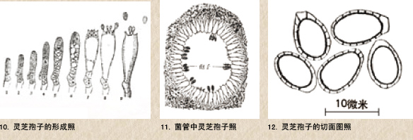 圖片關鍵詞 圖片關鍵詞