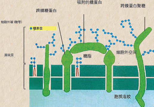 圖片關鍵詞 圖片關鍵詞