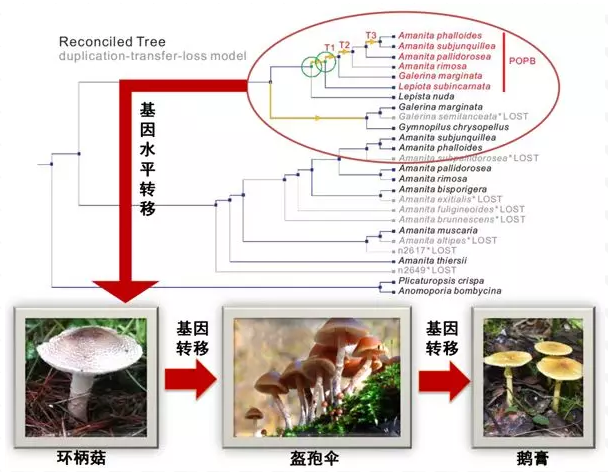 圖片關鍵詞 圖片關鍵詞