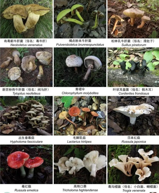 圖片關(guān)鍵詞 圖片關(guān)鍵詞