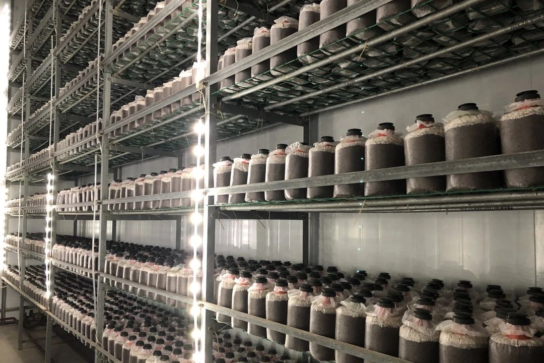 圖片關鍵詞