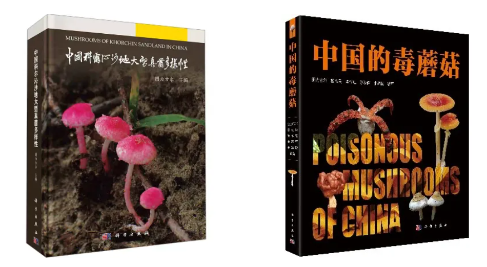 圖片關鍵詞
