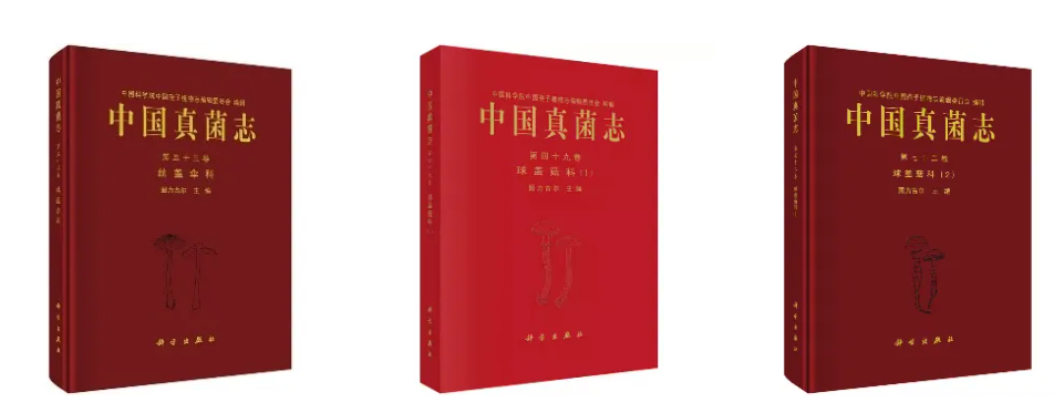 圖片關鍵詞