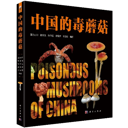 圖片關鍵詞