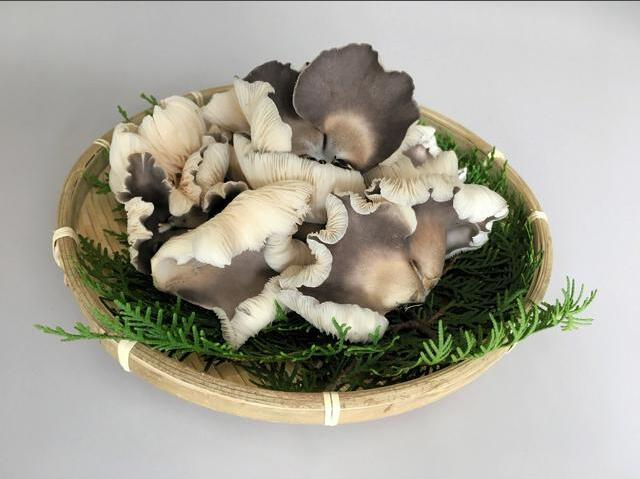 圖片關鍵詞