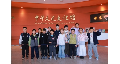 專題報(bào)道